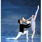 26-03-2013 - KoenigPALAST tim - Russisches Staatsballett - Schwanensee Foto www_Thomas-Ammerpohl_de.jpg